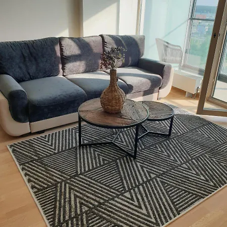 Apartment Stunning View Near Ferry To Smiltyne Klaipeda